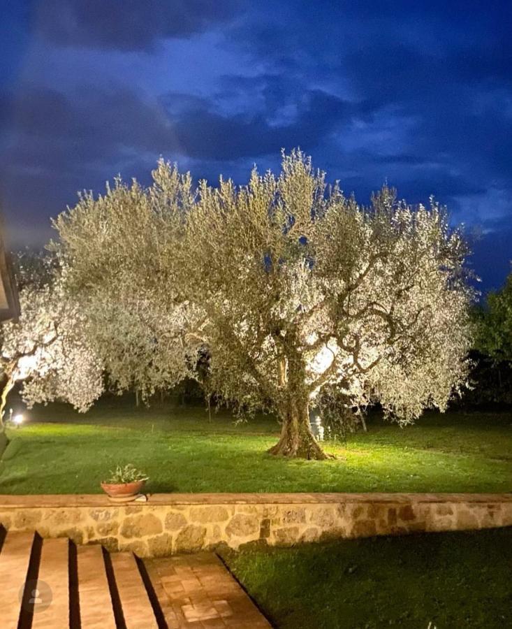 Agriturismo Eco-Bio Villa Vacasio Pitigliano Exterior photo